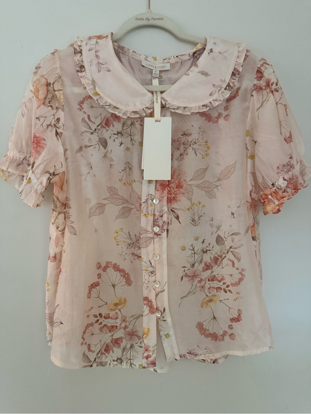 Lucky & Coco Floral Peter Pan Collar Blouse XL Cottagecore Fairy Sheer Top - Picture 2 of 8